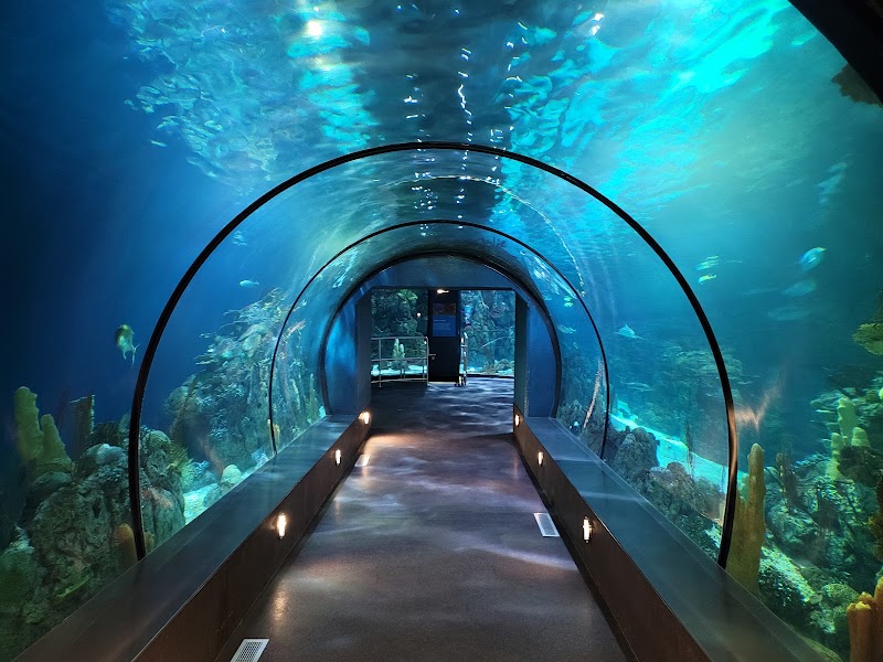 Moody Gardens Attractions Theme Park in Galveston