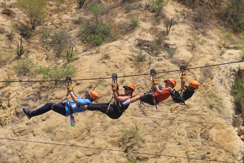 Wild Canyon Adventures