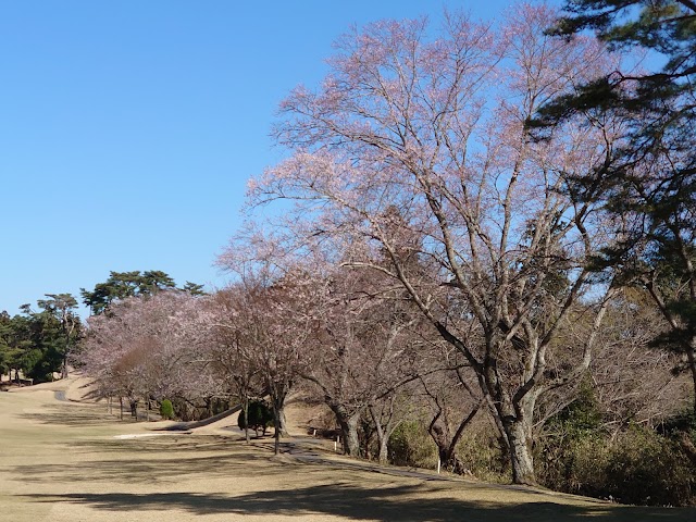 Sakura Country Club - Photo 4