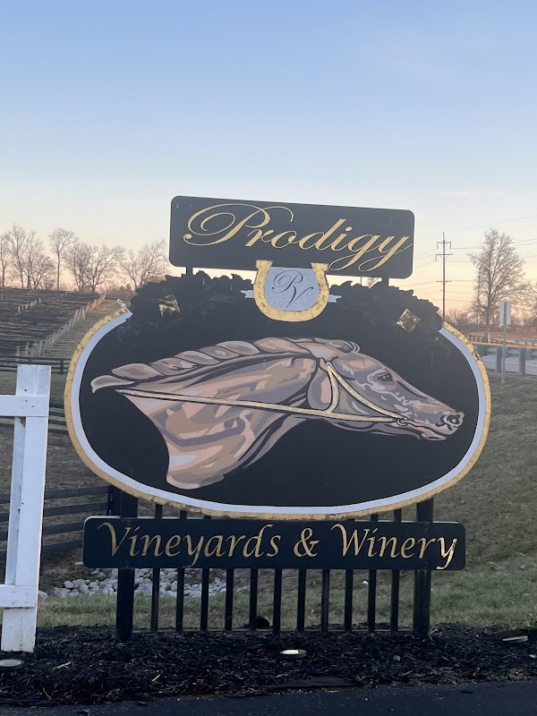 Prodigy Vineyards & Winery photo 2
