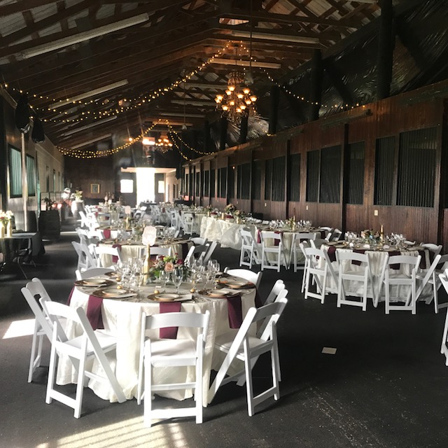 Prodigy Vineyards & Winery photo 1