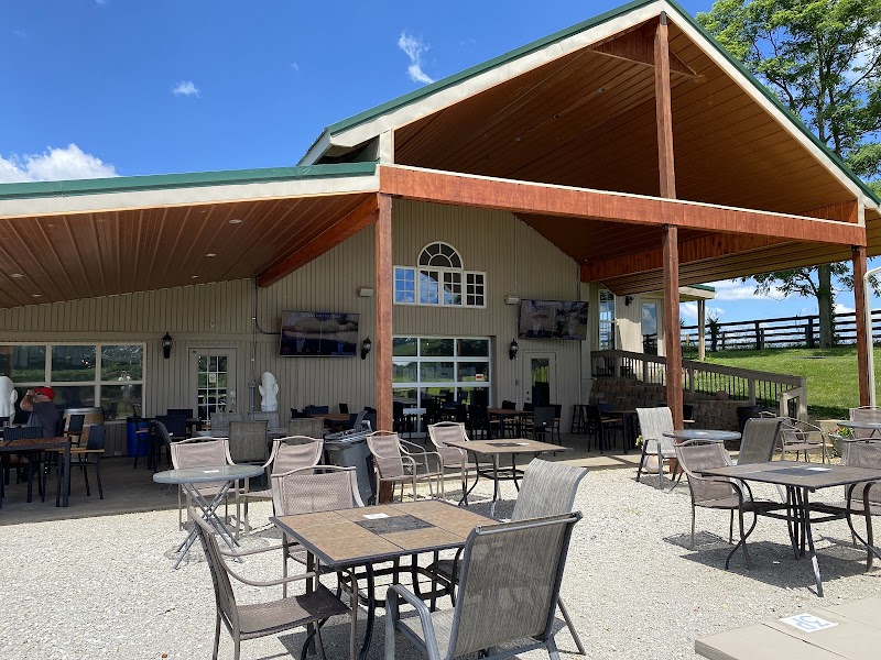 Prodigy Vineyards & Winery photo 6