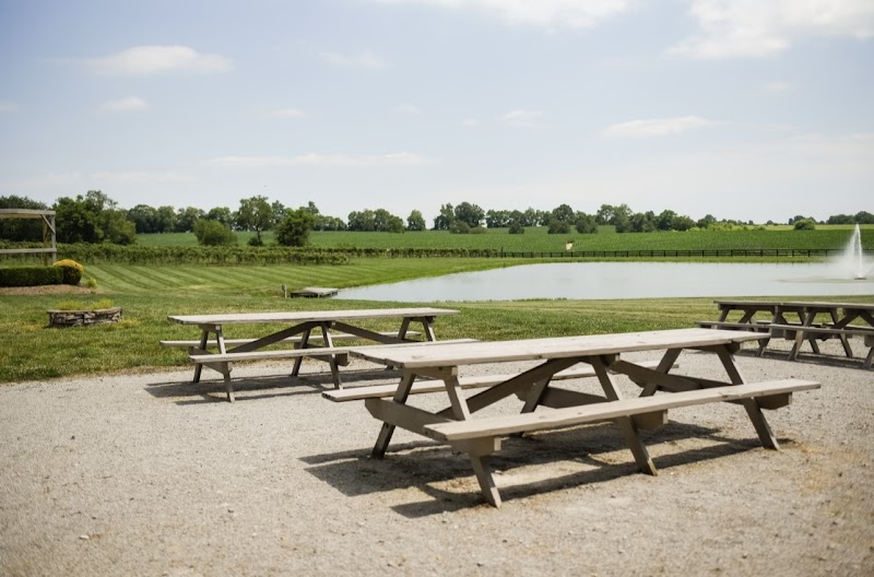 Prodigy Vineyards & Winery photo 5