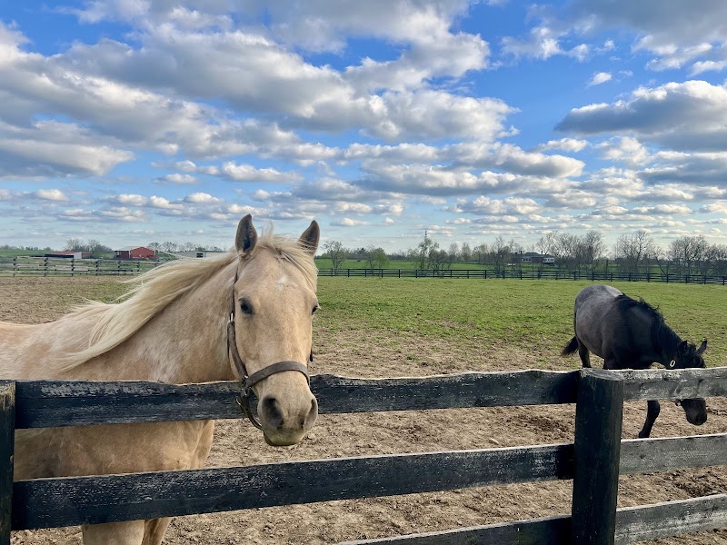 Prodigy Vineyards & Winery photo 7