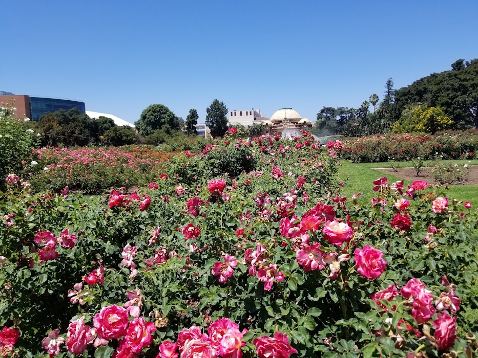 Exposition Park Rose Garden fotoğraf 1