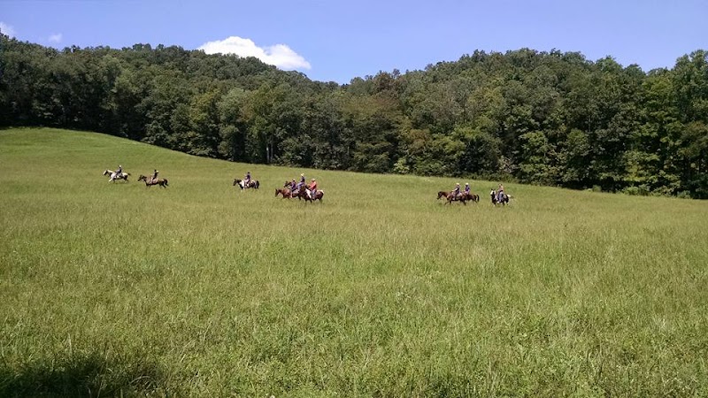 Grey Wolf Ranch Ozarks - Photo 3
