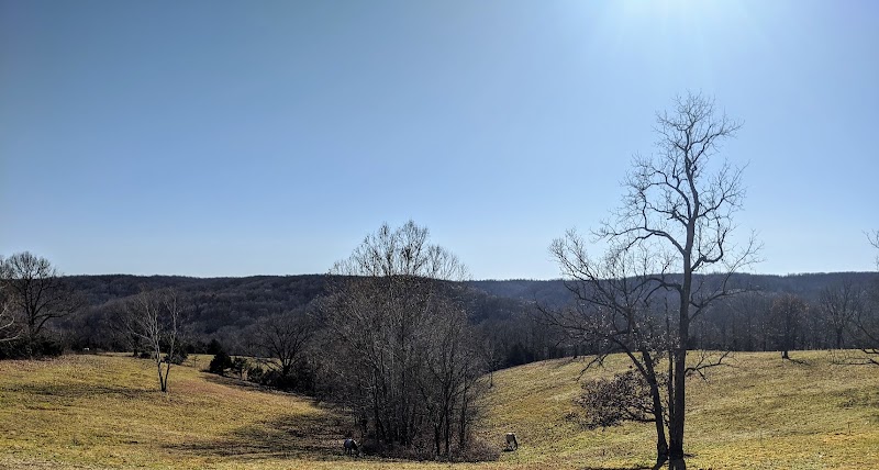 Grey Wolf Ranch Ozarks - Photo 6