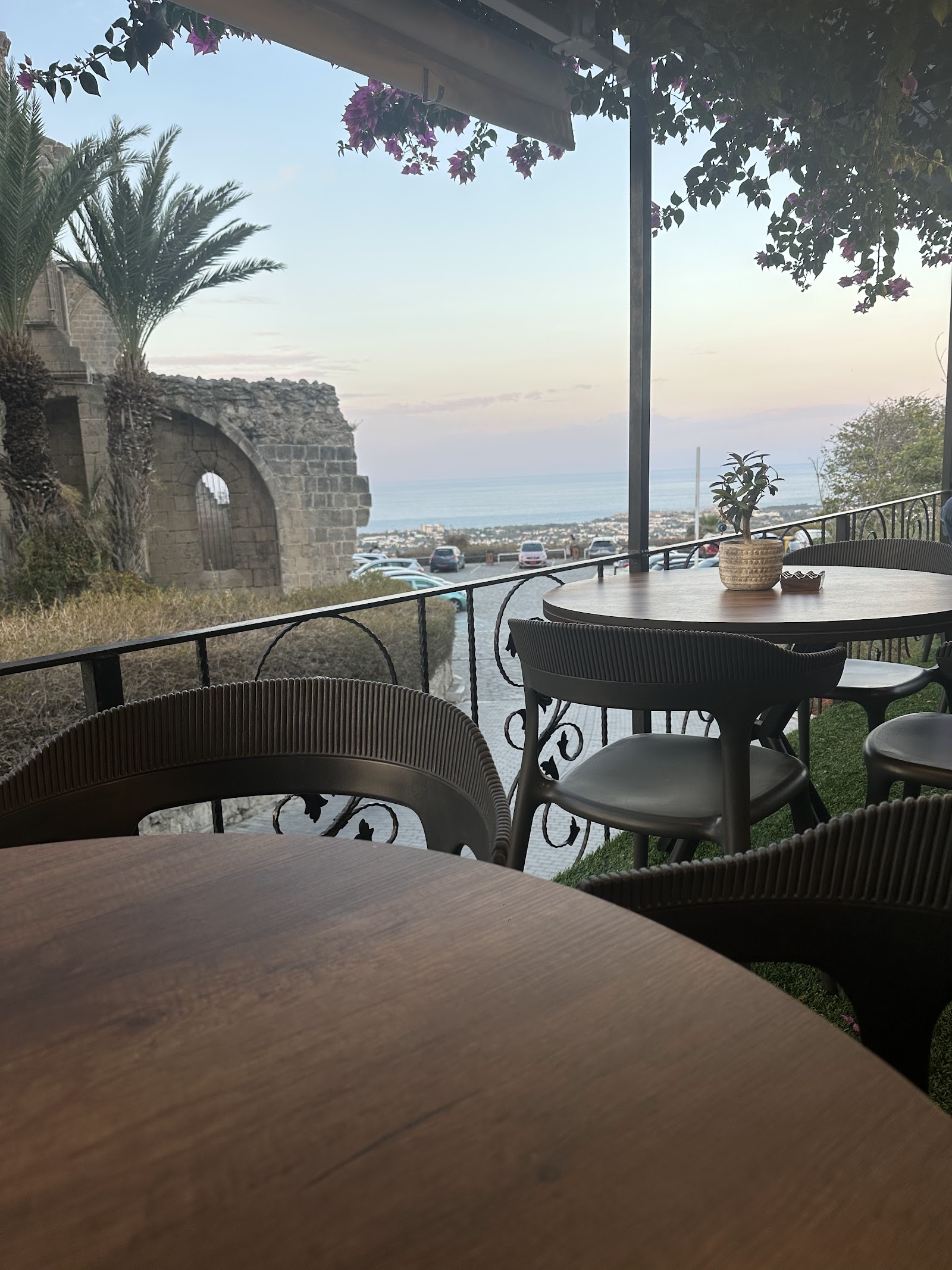 Bella One Café & Wine House mekanı