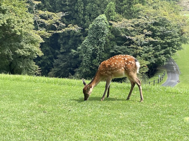 Kyowa Golf Club - Photo 10