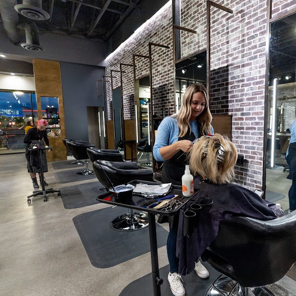The Hair Standard portfolio
