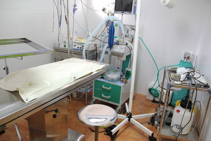 Centro Veterinario Sotivet SL