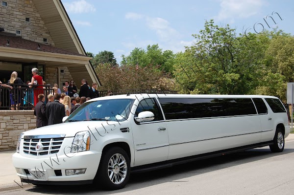 AEX Limo Service Chicago - Wedding Limousine & Party Bus Rental portfolio