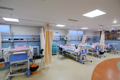 Dr Atluri Pallavi - Image 3