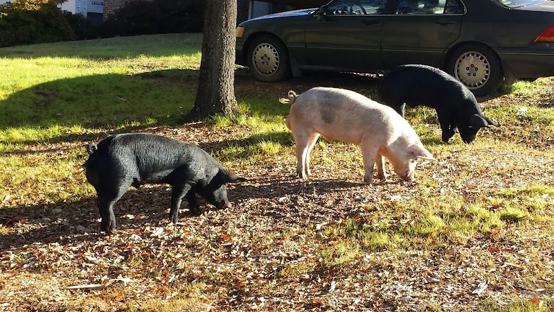 Bowers Farm - Photo 4