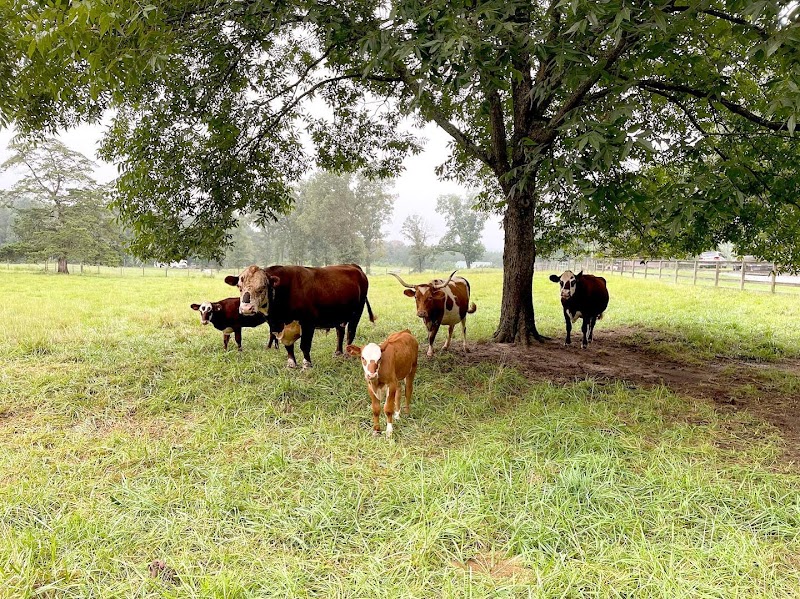 Bowers Farm - Photo 1