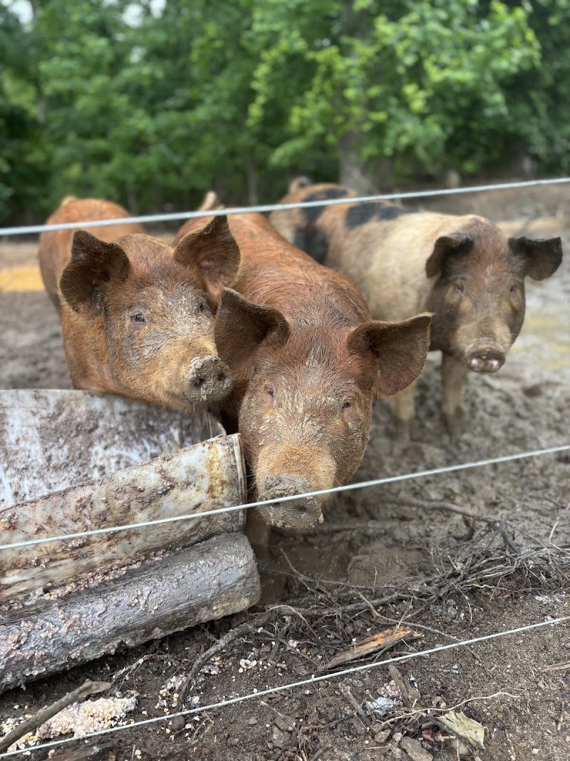 Bowers Farm - Photo 3