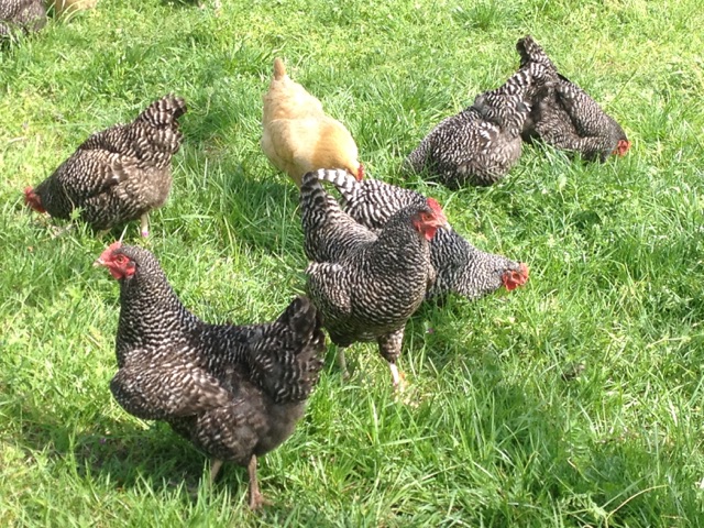 Bowers Farm - Photo 5