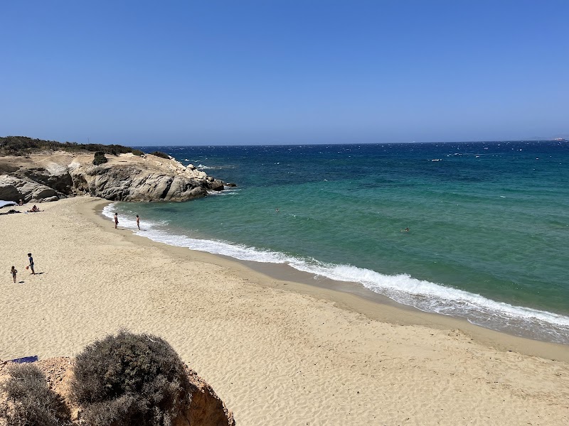 Cedar Forest of Alyko