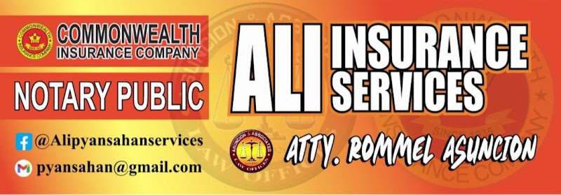 Ali Pyansahan Services