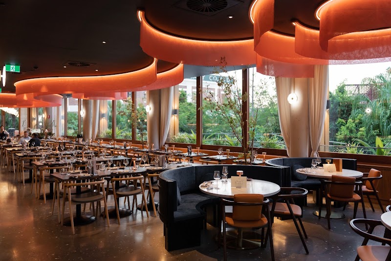 IPPIN Japanese Dining photo 1