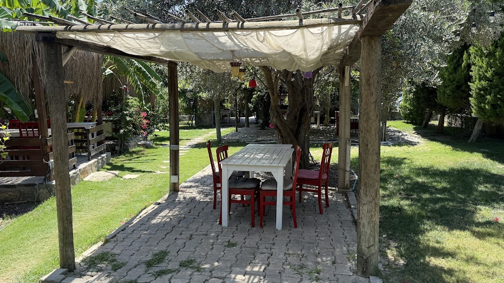 Sefte Bahçe fotoğraf 1