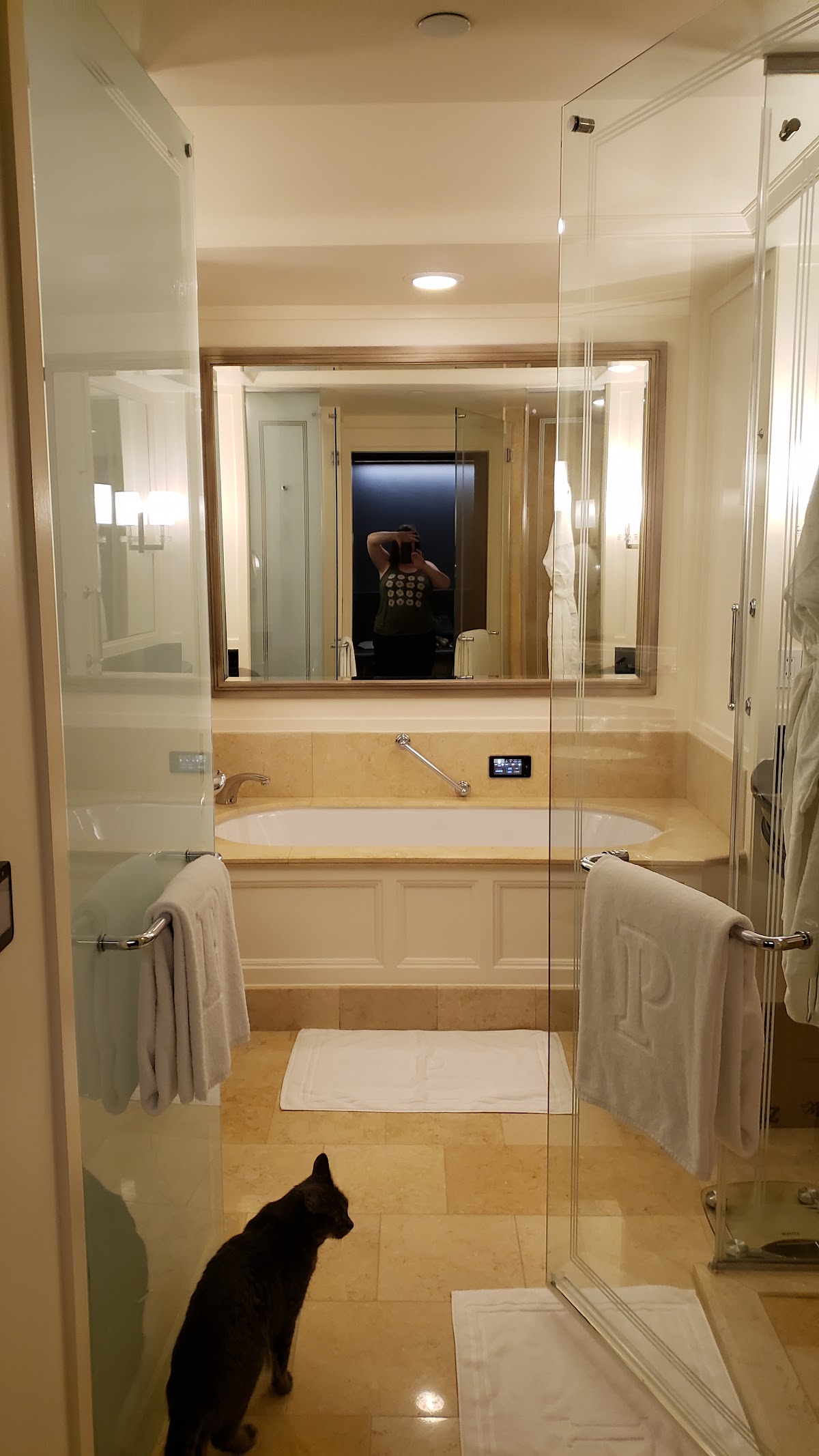 The Peninsula Chicago, dog-friendly hotel, photo 3