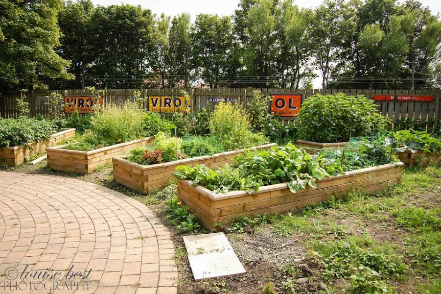 Station Masters’ Community Wildlife Garden
