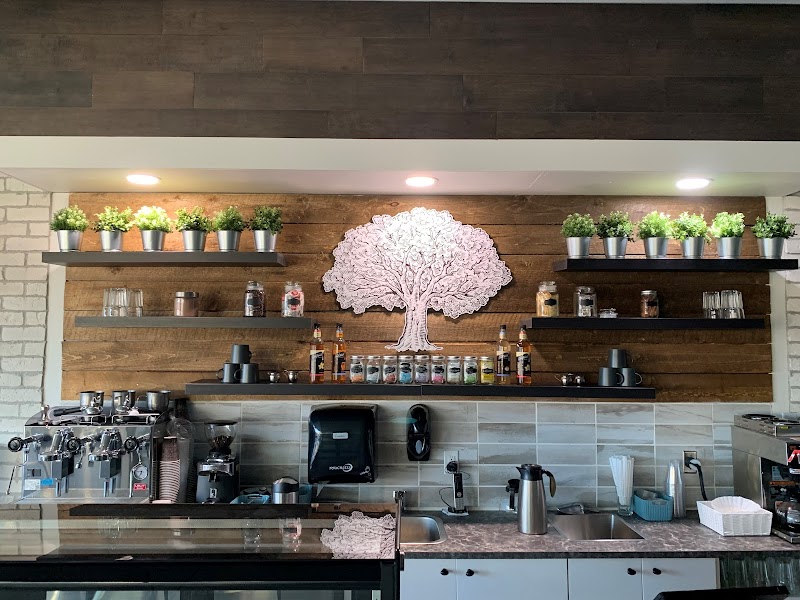 Milly Oak Cafe and Catering photo 1