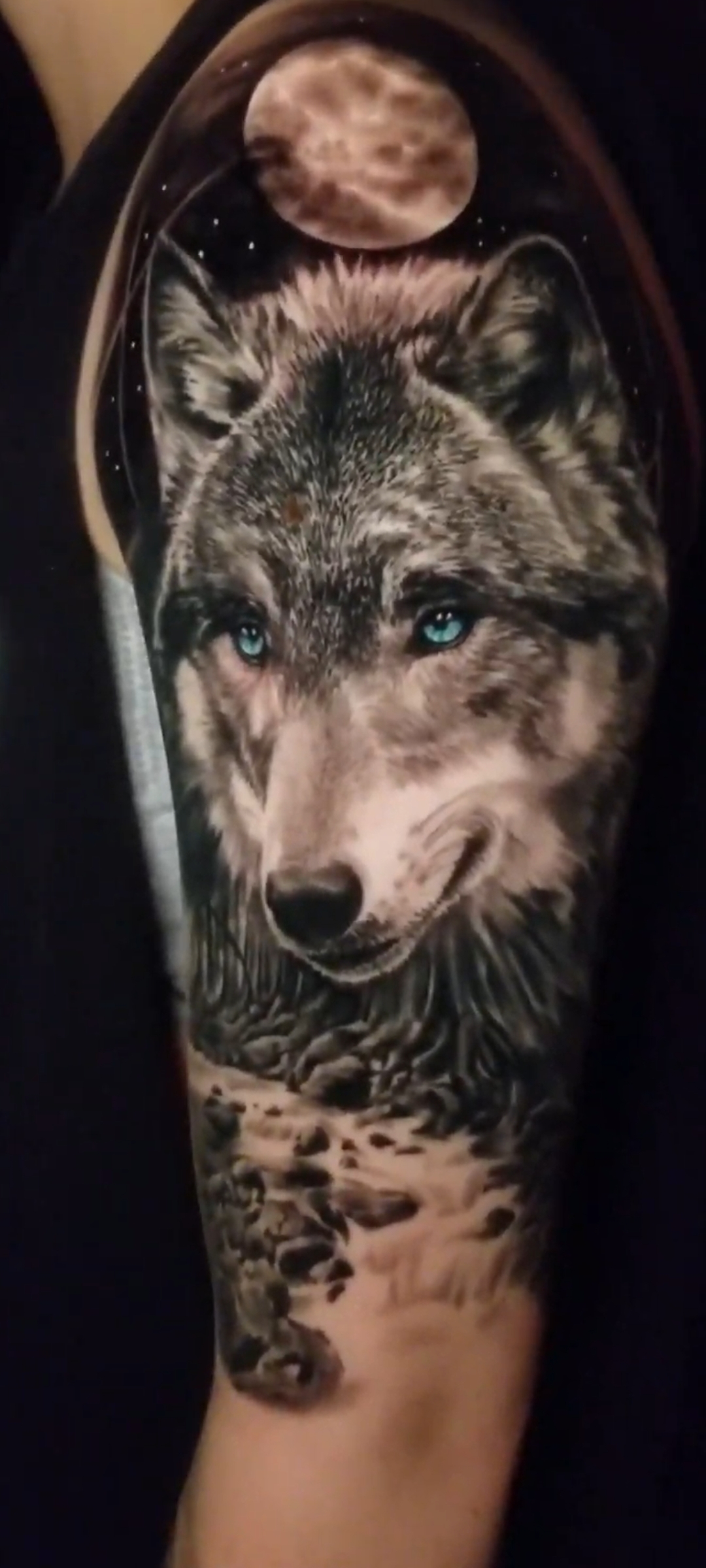 Black Wolf Art Gallery Tattoo Studio — tattoo studio near Elk Grove