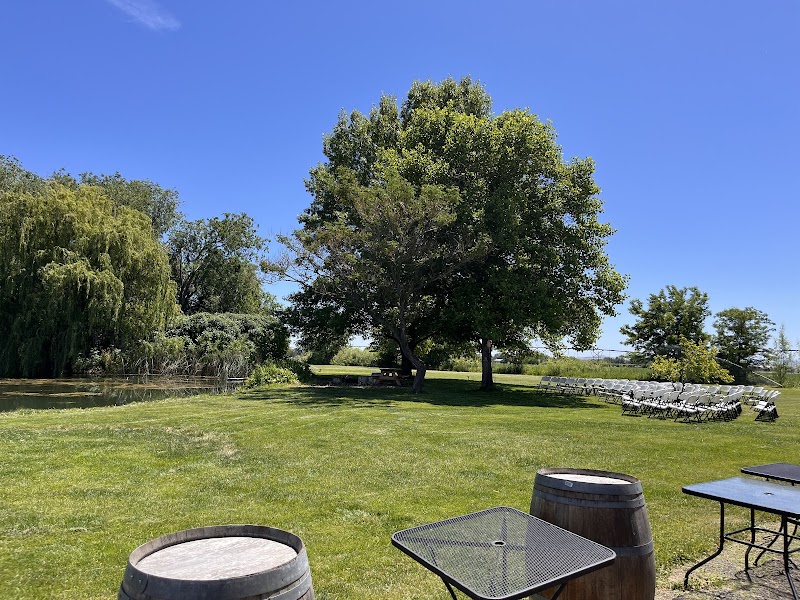 WILLOW BARN RANCH - Photo 4
