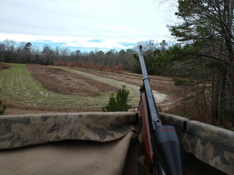Waccamaw Hunting Services, LLC - Photo 4