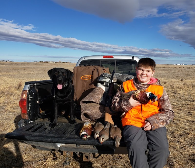 A-Plus Game Birds - Photo 1
