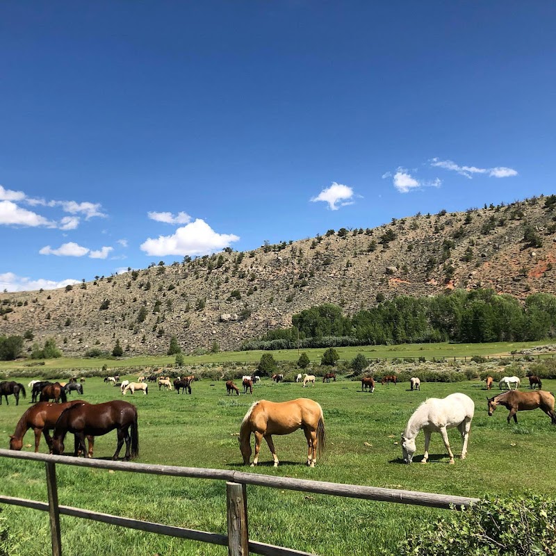 CM Ranch - Photo 3