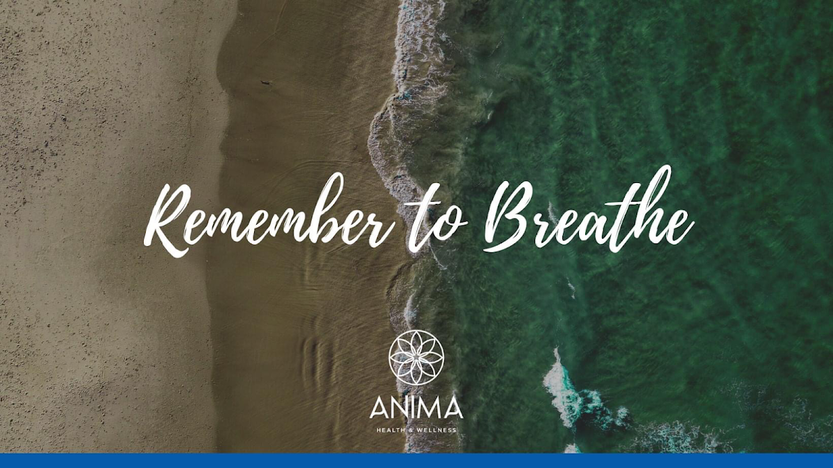 Anima Fitness & Wellness