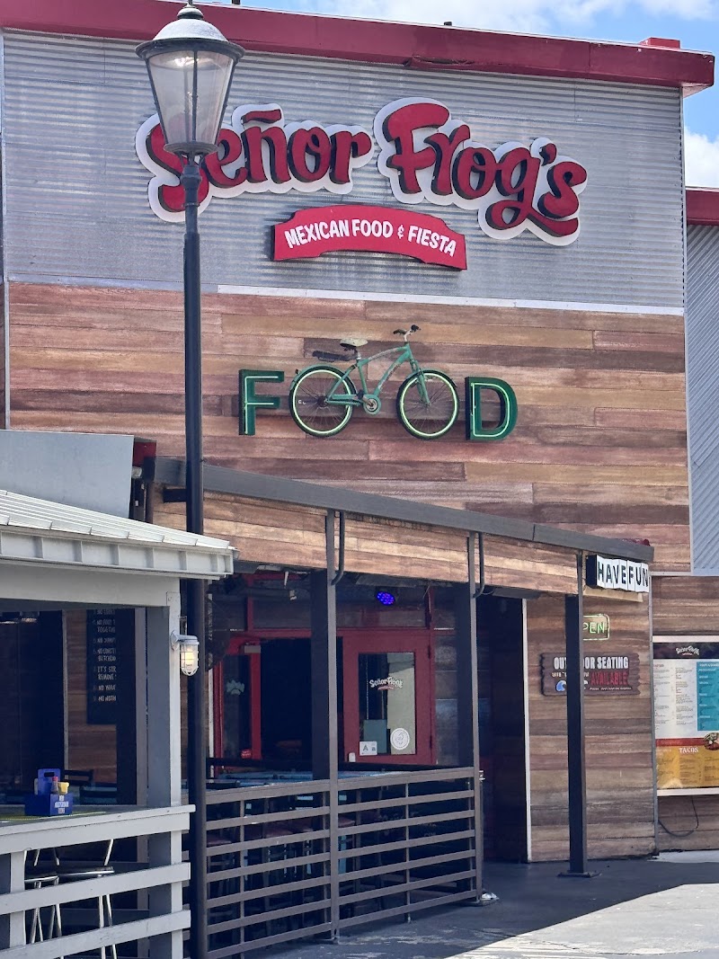 Señor Frog's | Myrtle Beach photo 3