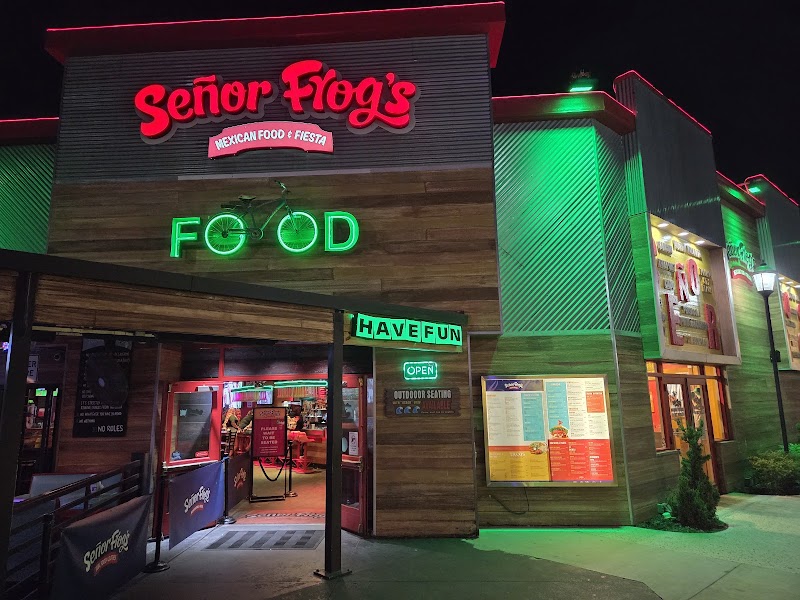 Señor Frog's | Myrtle Beach photo 4