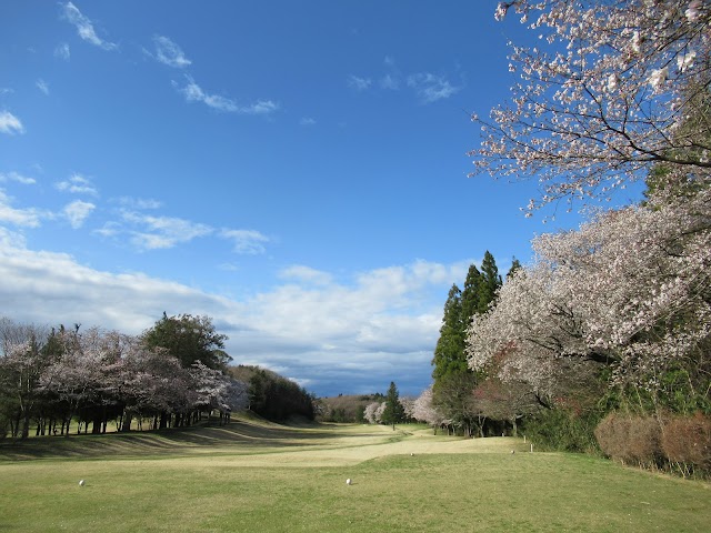 Naka Country Club - Photo 9