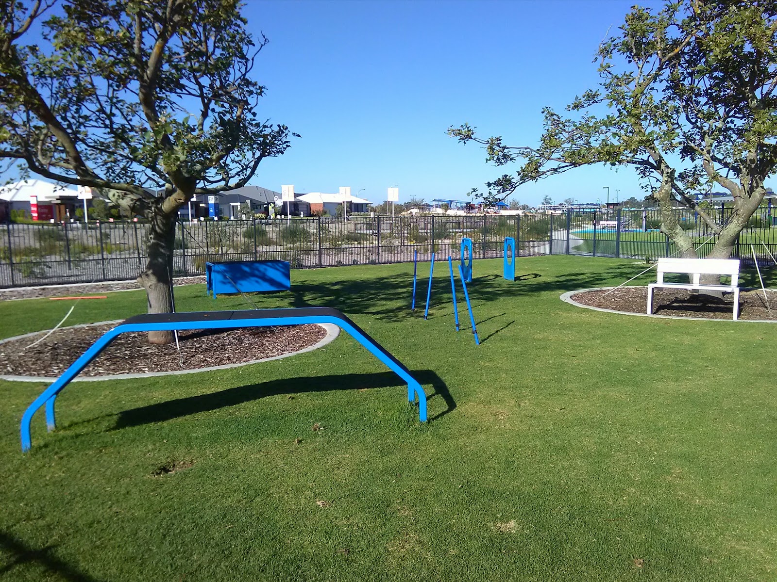 Fenced Dog Park - Sienna Wood