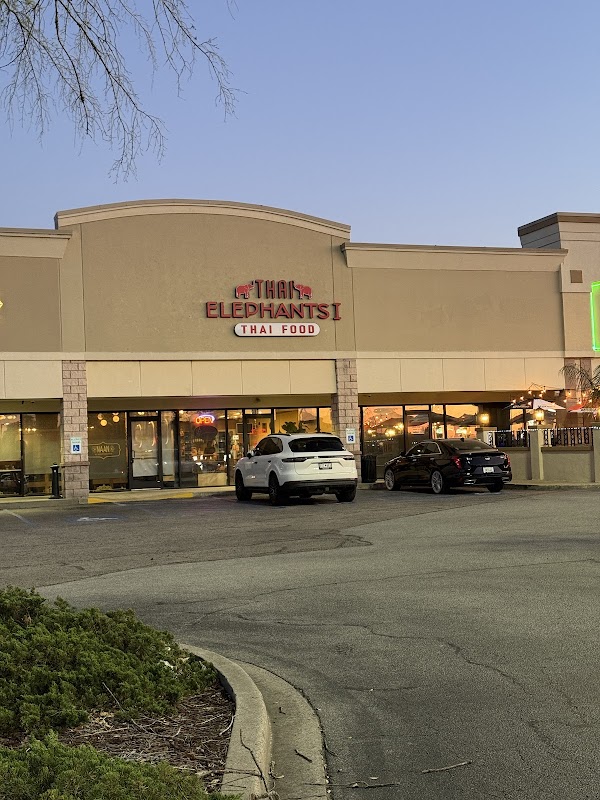 Thai Elephants I photo 5