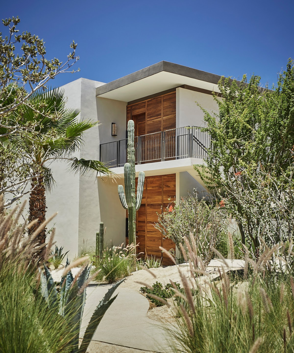 Four Seasons Resort Los Cabos at Costa Palmas