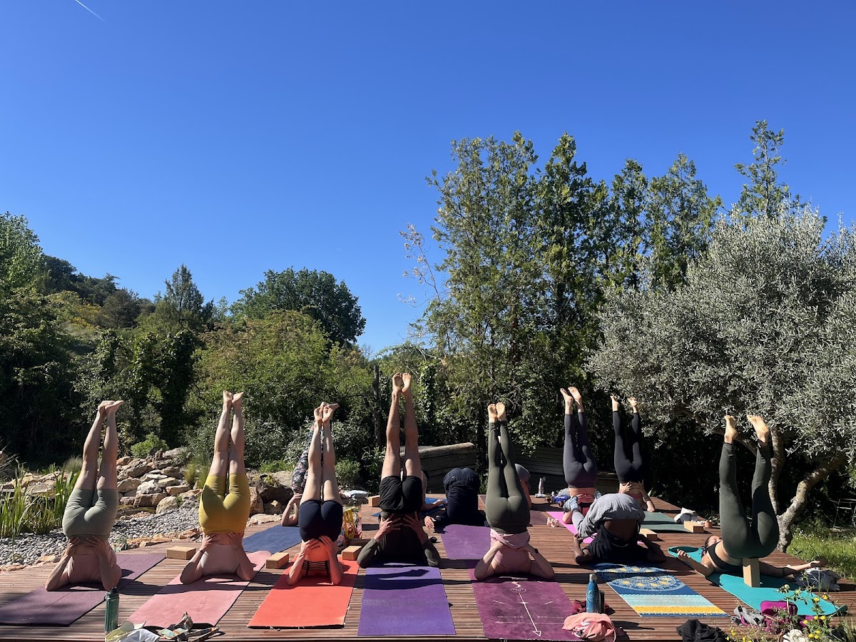 Terra Luna Yoga & Eco-Lodge