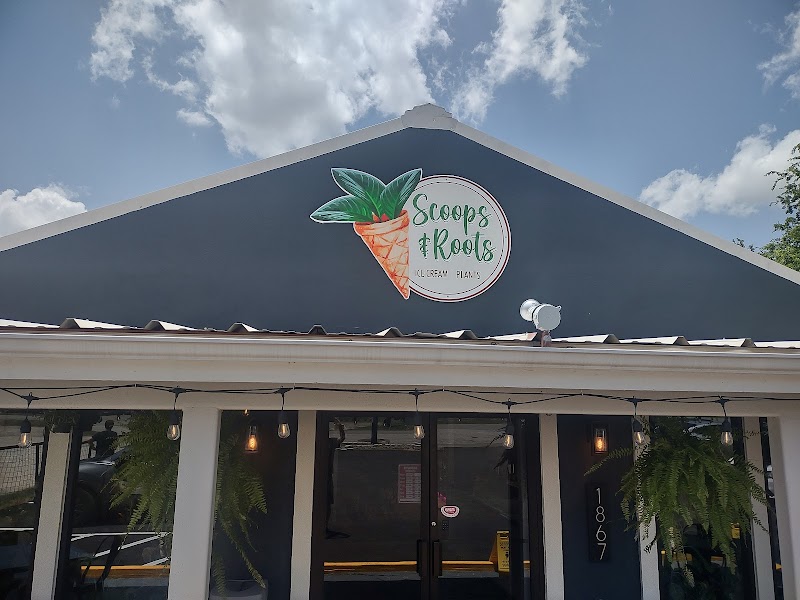 Scoops & Roots photo 3