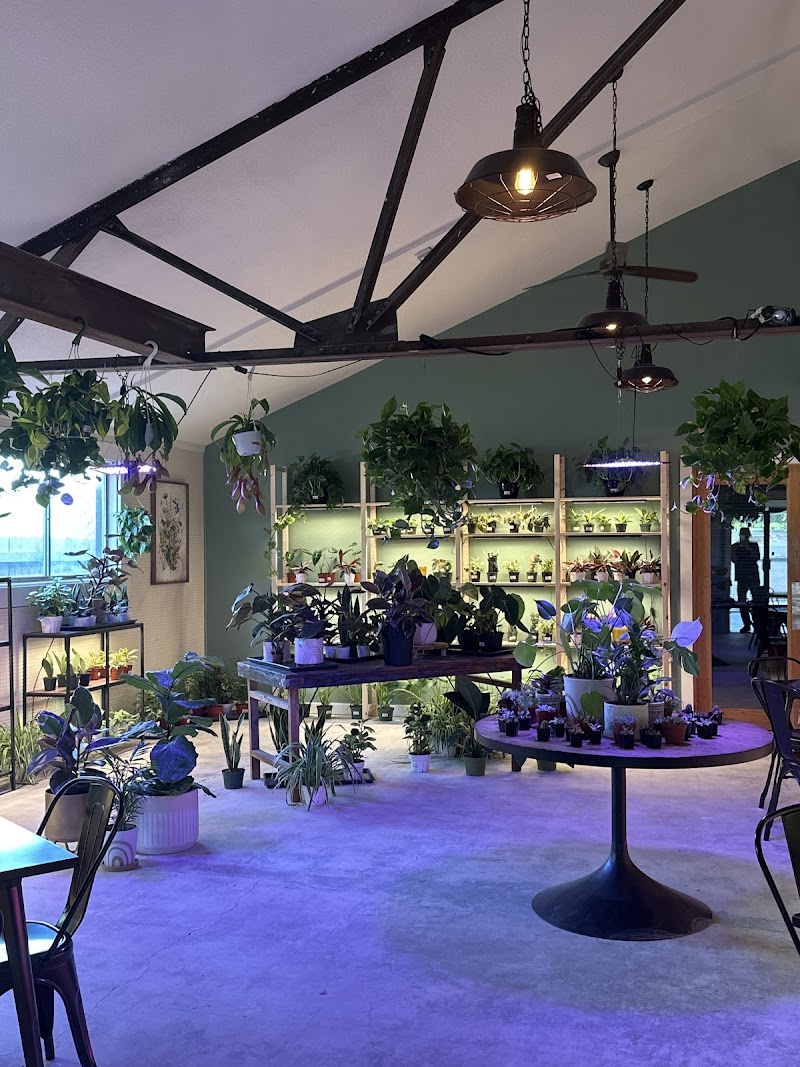 Scoops & Roots photo 1