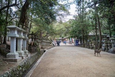 Kasuga Taisha Shrine - 6