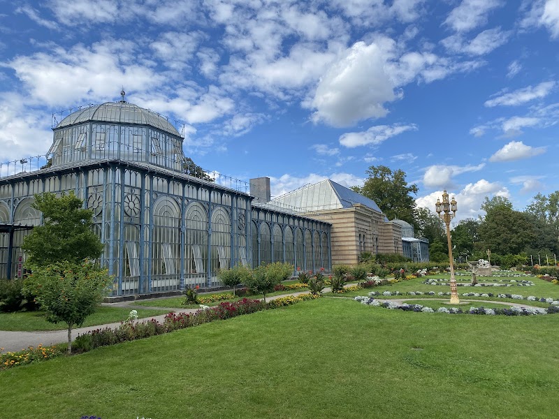 Вильгельма