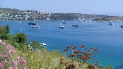 Teus Evden Eve Asansörlü Taşimacilik - Nakliyat