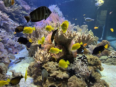 Aquarium