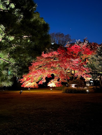 Rikugien Gardens - 5