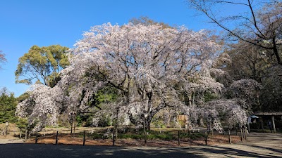 Rikugien Gardens - 2