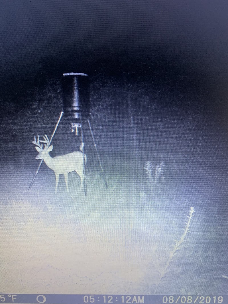 Collins Low Country Hunt Club - Photo 6